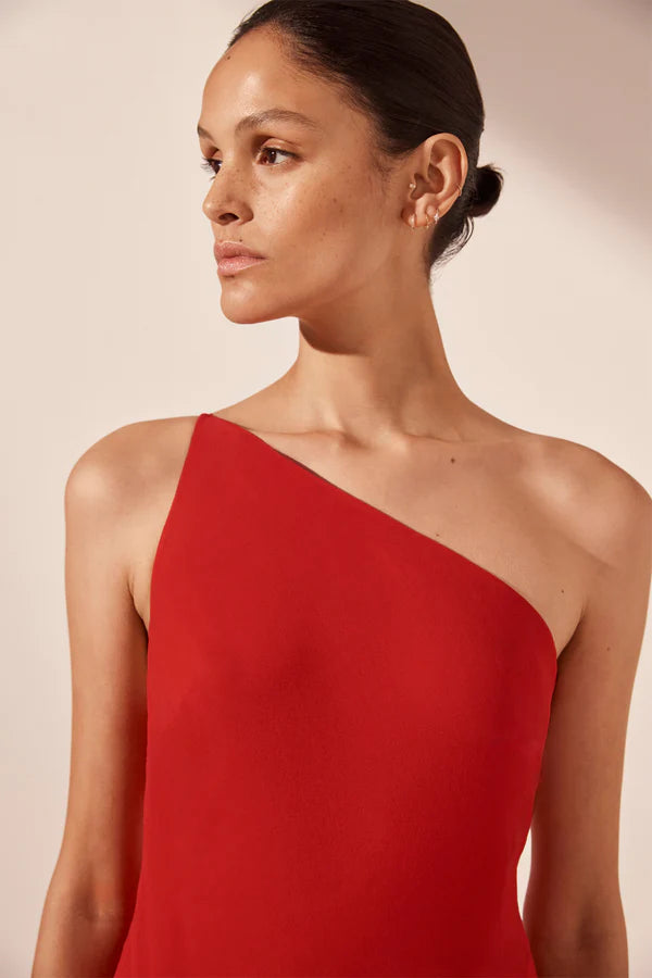 Amina One Shoulder Panelled Maxi Dress - Chilli